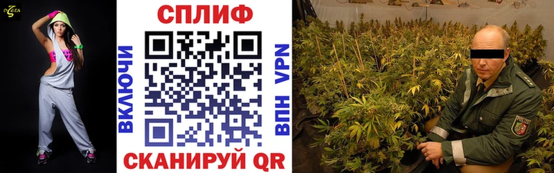 Где найти наркотики Лодейное Поле Alpha-PVP  Меф мяу мяу  ГАШ  Каннабис  Кокаин 